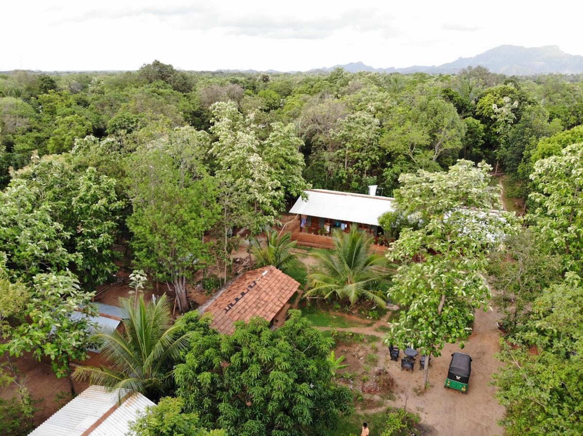 Araliya Self Cooking Resort Dambulla Exterior foto