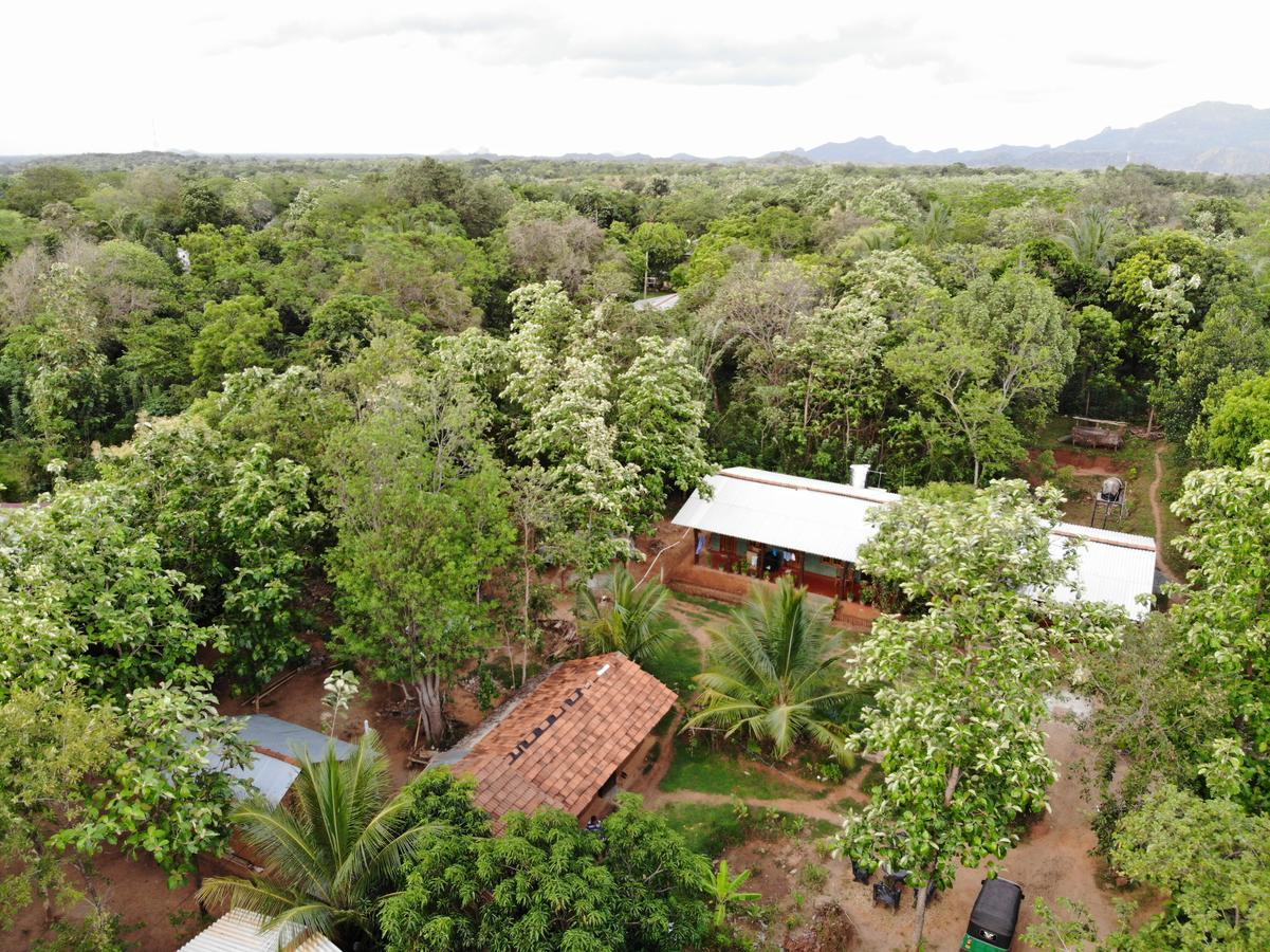 Araliya Self Cooking Resort Dambulla Exterior foto